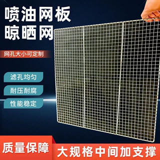 定制钢丝网加粗喷漆晾晒网片五金件喷油网工艺品喷粉喷涂晾晒网板