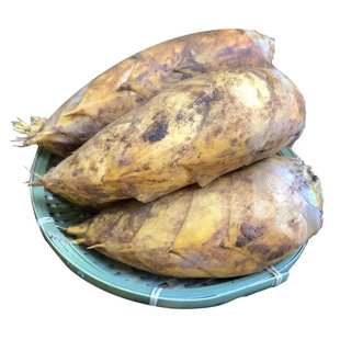 ���ϬF�ڬF�l���S���r�������S���]�a��ֱ�l���r���Sһ�����l