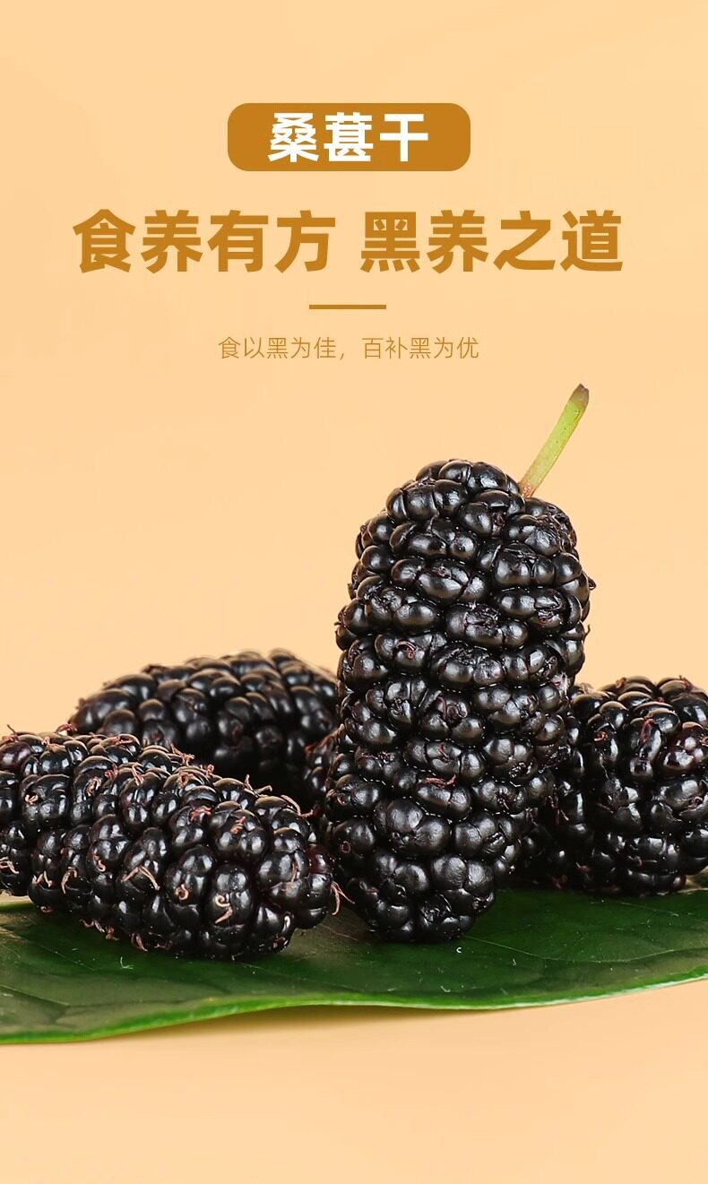 Premium Dried Mulberries Sang Shen 500g Large Whole Berries for Tea Snacks and Culinary Use preparation