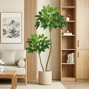 ����Gֲ�߶��p���҃�ֲ�����Դ��~��٘了�sԭľ�L���b[��