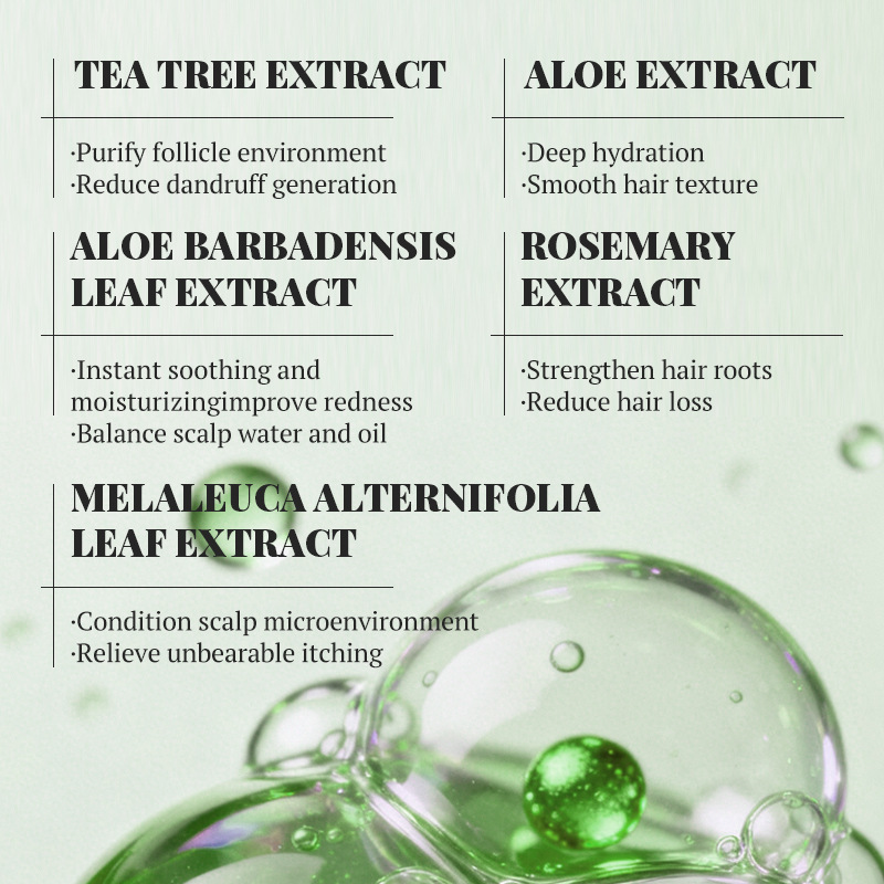 Comercio exterior KORMESIC Tea Tree Caspa Shampoo Fluffy Cuero Cabelludo Limpieza Transfronterizo Spot Wholesale image 4