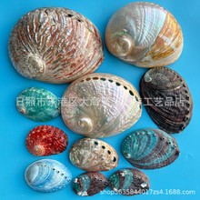 �����U�~����Ȼؐ��������β��ȼ�����{�U����U���UС�t�UС�G�U