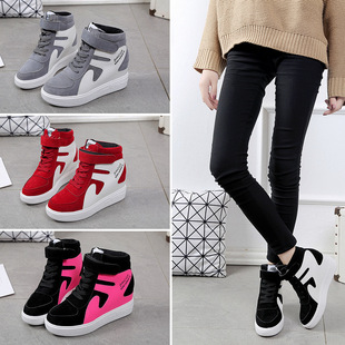 �ﶬƴɫ�ߎ����eЬħ�g�Nϵ�������ߺ�׬F؛ŮЬ���m�Ұٴ�