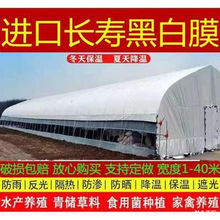 Imported Thickened Greenhouse Film, Long-Lasting Breeding Black and White Film, Sun Protection Green and White Film, Anti-Aging, Heat-Insulating, Reflective and Anti-Seepage Film
