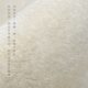 2023 new bedside blanket bedroom mat light luxury living room carpet home floor mat comfortable
