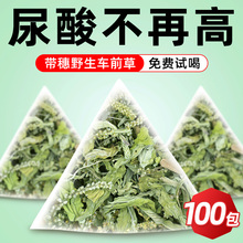 车前草的功效与作用野生泡茶茶包中药材新鲜干有什么功效土茯苓