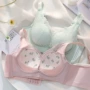 女士少女新款聚拢胸罩