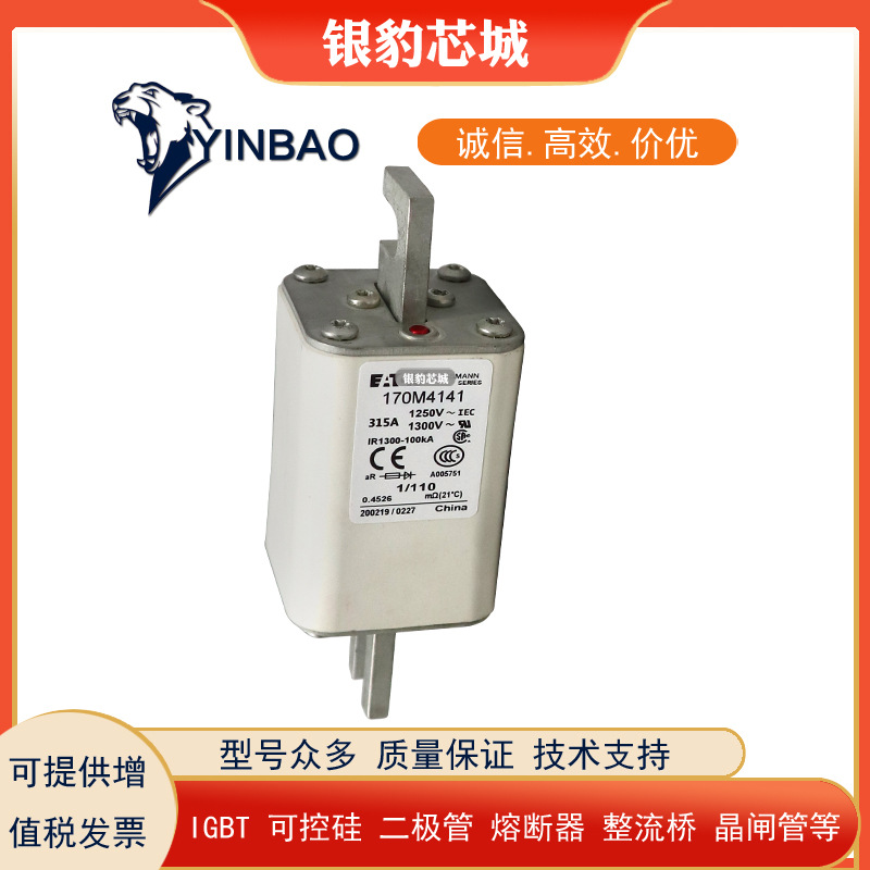 170M4114 170M4115 170M4116 170M4117 170M4118 170M4119熔断器