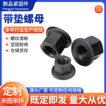 ���m��ĸ���|�X�Ͻ��i�oӢ���������������|��ñ���ɶ�����ĸ