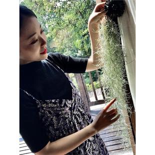 �՚��P����������}�o��ֲ�����ȩ�҃ȿ͏d���ԾGֲ���ܿ��P��x