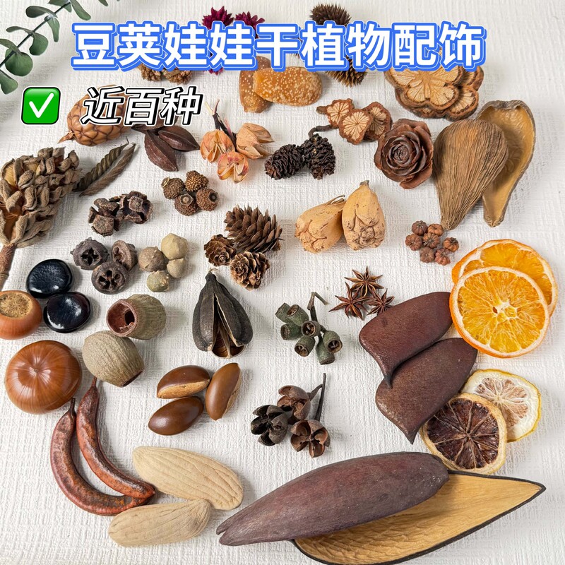 Dozens of Fruits to Choose From, Handmade DIY Accessories, Materials for Decoration, Handmade Plant Pod Doll Accessories
