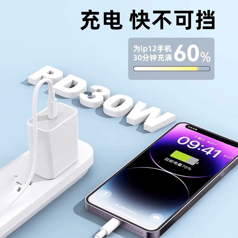 30W充电器头正品适用苹果数据线iphone14闪充14/12pro插头快充头|undefined
