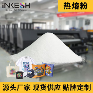 Inkace White Ink Heat Transfer Hot Melt Powder for Gold Stamping, Medium Powder, Fine Powder, Coarse Powder, Tpu High-Temperature Resistant Gold Stamping Version, Anti-Sublimation