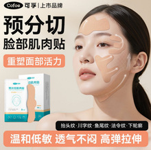 ����Ę�������N����y�~β�y���M�������X����Ę�沿��������Ч�N