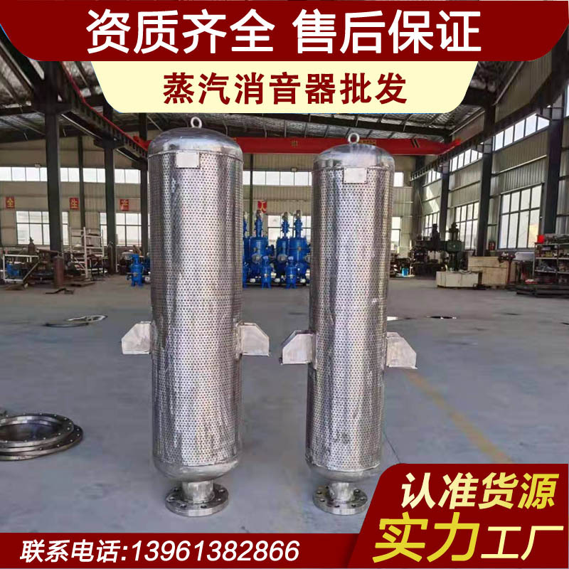 小孔消音器 安全阀消声器 放空消音器 蒸汽排放消声器