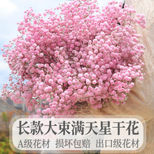 ��ϳ������M���Ǹɻ���������滨����ƿ��Ȼ�L�ɿ͏d�b[��