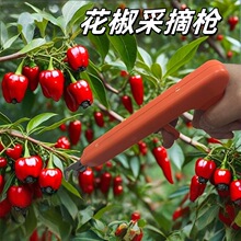 �¿�����ժ��ժ���ѻ����๦������ժ����ݮ������֦������������