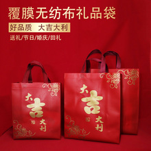现货礼品袋春节大号无纺布手提袋子烟茶酒送礼包装袋福袋大吉手拎