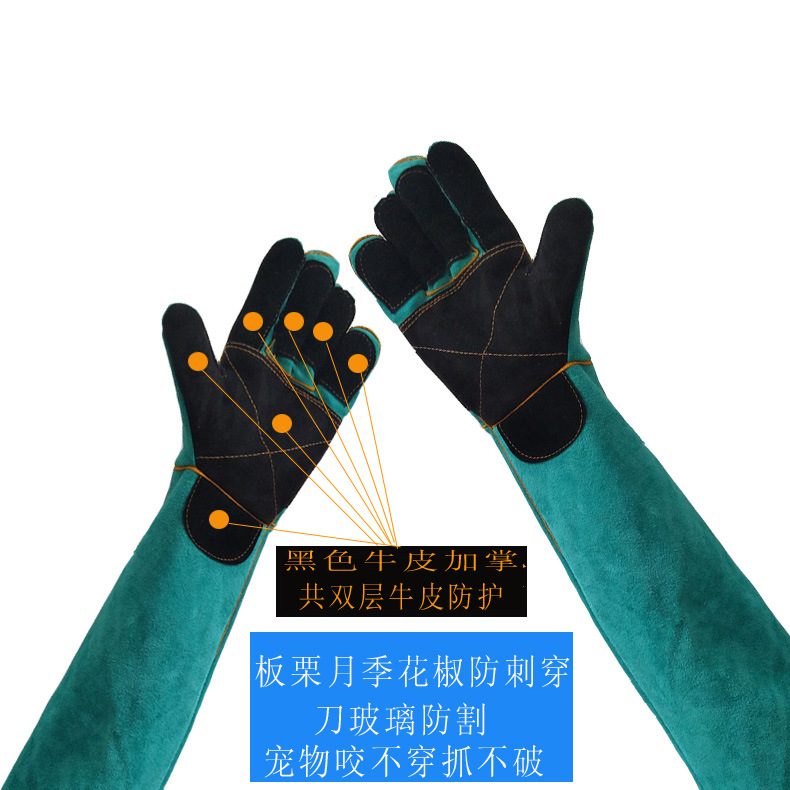 动物防咬手套训练加强五指掌两层牛皮加托垫背狗猫咪防抓咬刀割刺
