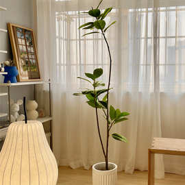 仿真绿色植物橡皮树榕室内客厅装饰仿生假植物盆栽高端轻奢花落地
