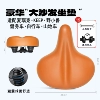 Philips, orange seat, mountain bike for gym for traveling