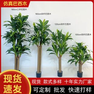 ���W�L����Gֲ����ľ���Է����پGֲ�͏d���b��W�t���ֲ���b�