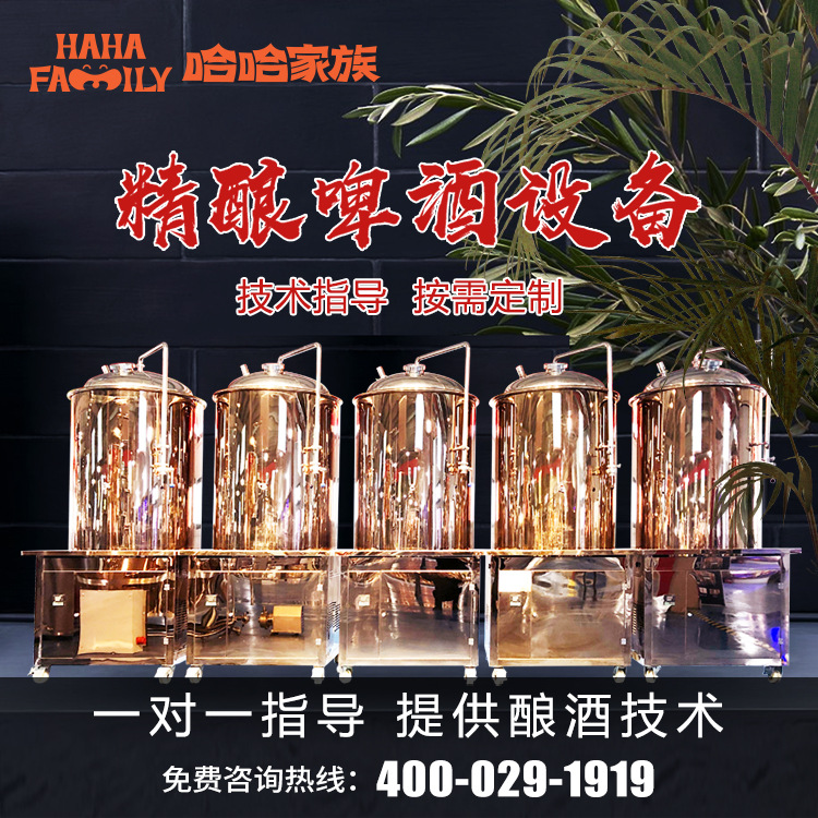 精酿啤酒加工机械 酿造啤酒的设备 大型精酿啤酒厂酿造设备
