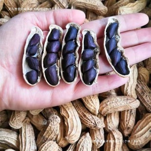 ��؛������������ڻ��������ء���������Ƥ�����ԷN�ڻ�����ԭζ