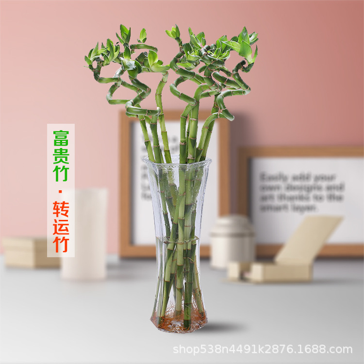 O1CN01MwOKL026fbsEA1tuA_!!4241