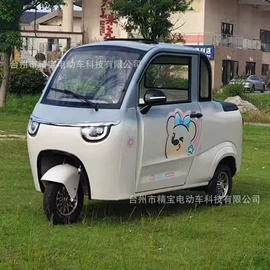 其他电动车;电动三轮车;其他非机动车