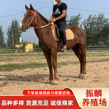 �T���R�r�� �Rƥ�Bֳ�����������R ���R�R�x�B�R�� �ṩ�Z�B���g