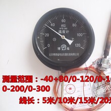 WTZ-280ѹ��ʽ�¶ȼ�-40+80 0-120-160-200-300�湤ҵ��¯��5����