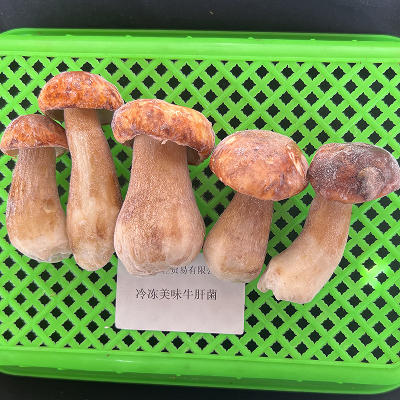 美味牛肝菌冰鲜冷冻速冻白牛肝菌大脚菇顺丰空运野生菌不加冰开票