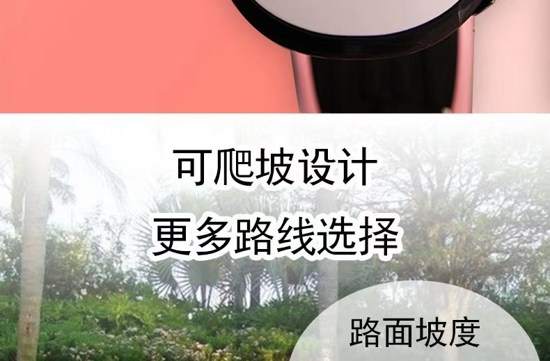 Suitable for Little Dolphin Electric Vehicle Mini Folding Men's and Women's Scooter Small Two-Wheel Battery Vehicle Lightweight Lithium Battery