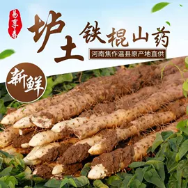 山药及其制品;其他药食同源