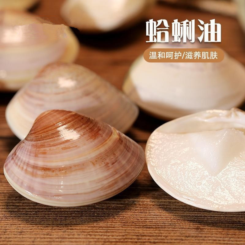 aceite de almeja, aceite de concha, aceite de almeja anti-agrietamiento, aceite de almeja anti-agrietamiento, aceite de almeja anti-agrietamiento, embalaje al vacío