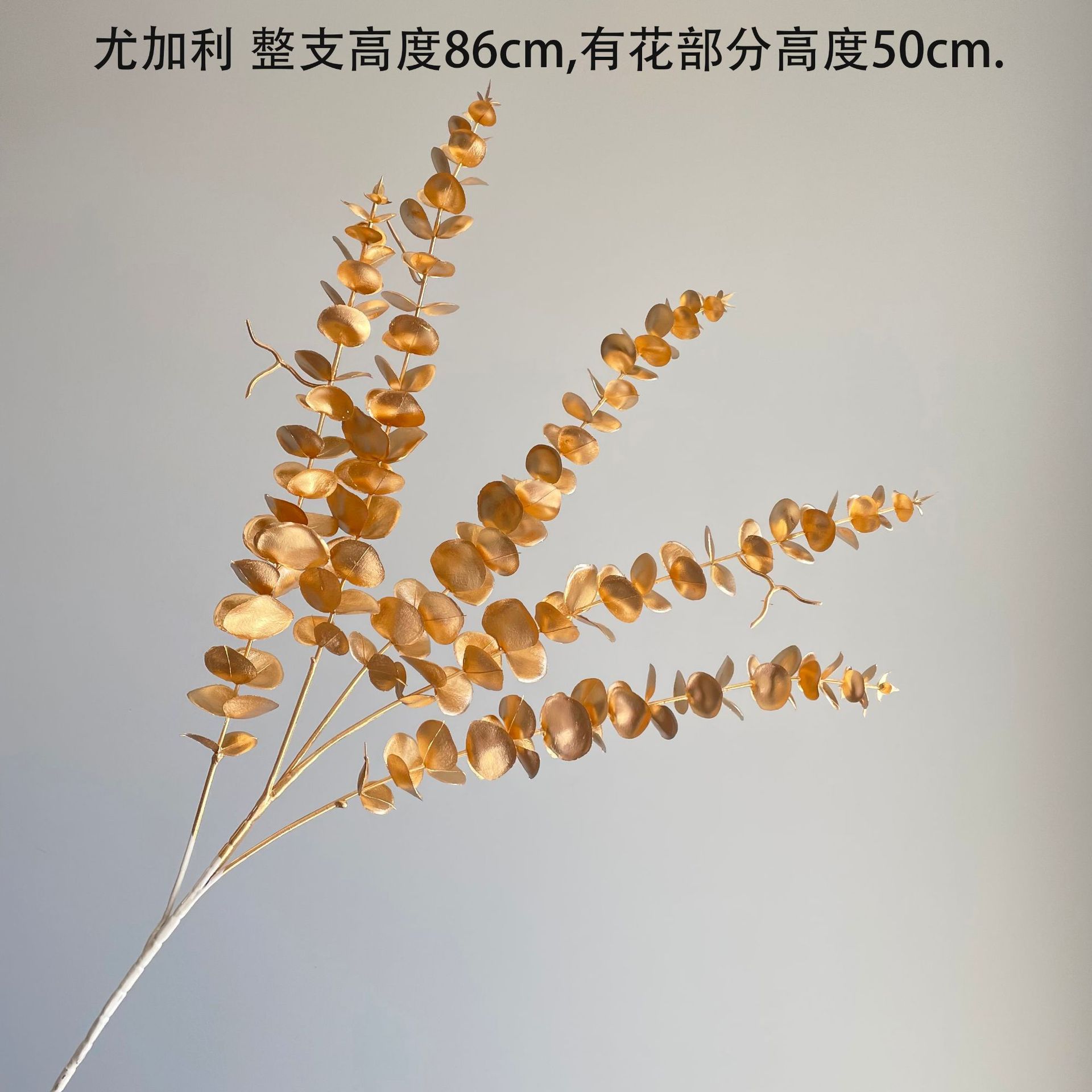 SKU04_颜色_尤加利