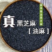 ��؛һ������������֥����؛�������l���l����22��֥���������