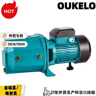 欧克科技定制水泵小型220v喷射泵JET100P水泵小型220v池塘水泵