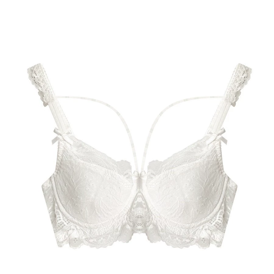 Lace sexy underwear, supporting push up bra, plus size