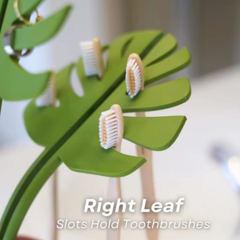 Cross-border new Monstera Coaster Plant3D