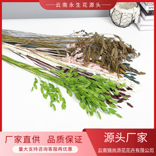 ������С�βݸɻ����ϼҾ��b��������ϏS�����l���ω���