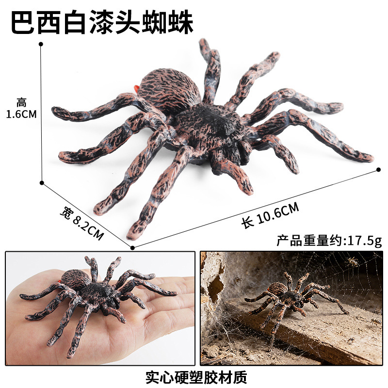 M-682 Araña brasileña de pintura blanca