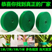 �Gɫֲ�����������������ռ{����늾��̶�������Ҭ�ذ�ħ�g�N����
