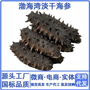 ���������˺������ɺ�����؛�Ǽ�ʳ�Y���|���ײ�Դ�^�S��ɽ�|�خa