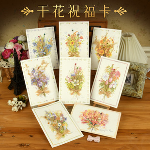 �����Zʰ�L�R�����w�N���e�¸ɻ����wף�����̎���ͯ�f�ÿ����տ�