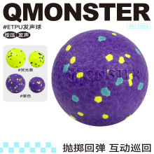 QMonster宠物球ETPU高弹回弹狗咬球咬不烂磨牙啃咬咀嚼球耐咬