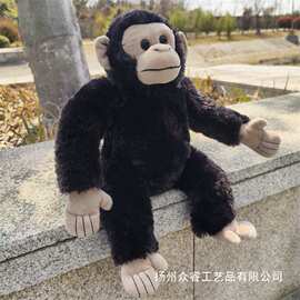 跨境批发毛绒玩具黑猩猩玩偶公仔儿童玩偶生日礼物动物园礼品摆件