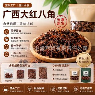 �V���˽����������˽Ǵ������ϴ�ȫ��t�˽��{������anise�u��