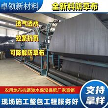 pe���ݲ��{ݮ���ع�����ݲ������@���ϻ��r��90g��ɫ���ݲ�